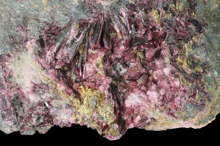 Magenta Erythrite Crystal Cluster - Morocco #141652